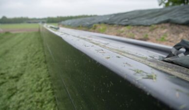 Sidewall