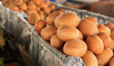 shutterstock_731039101