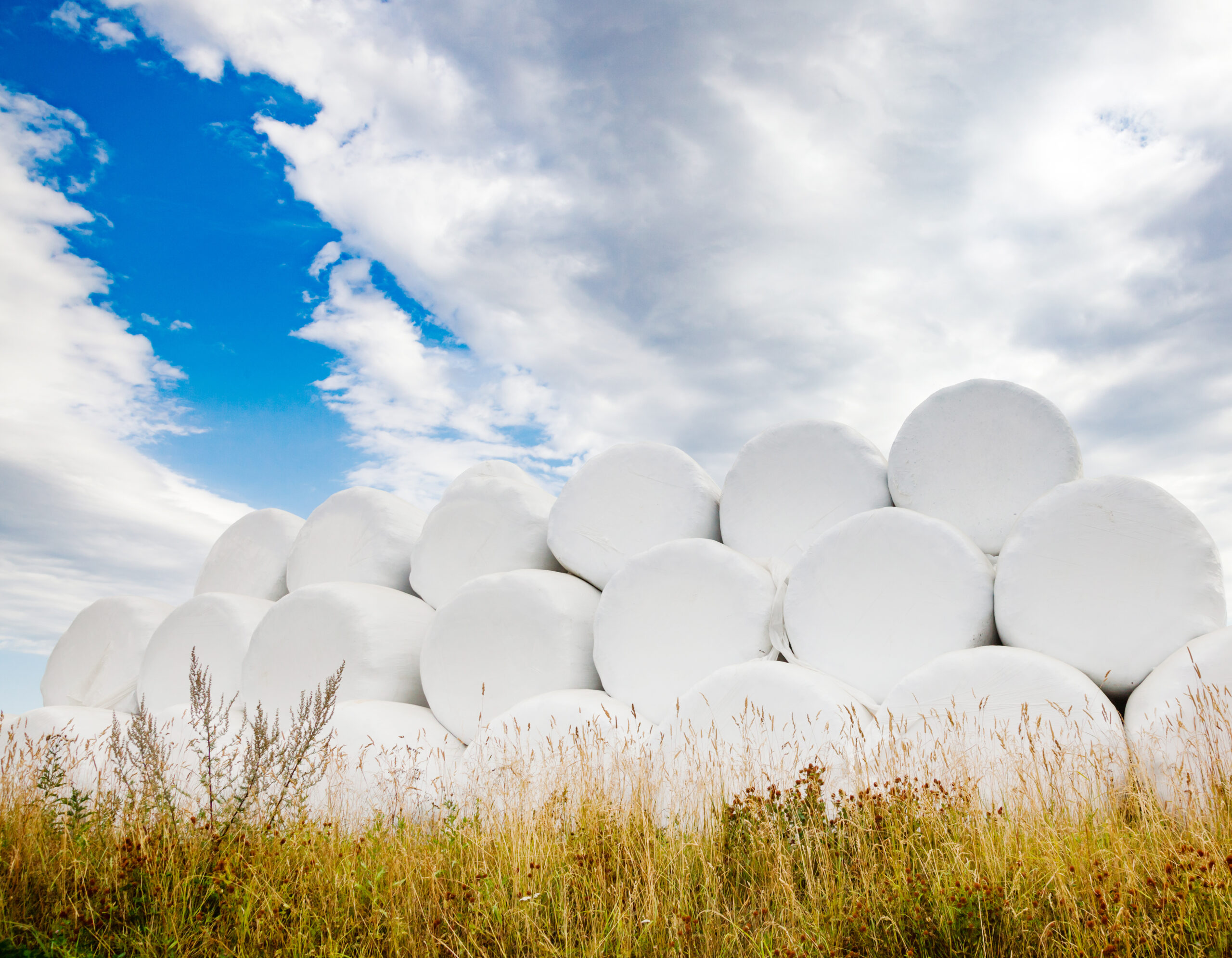 shutterstock_1168745656-3