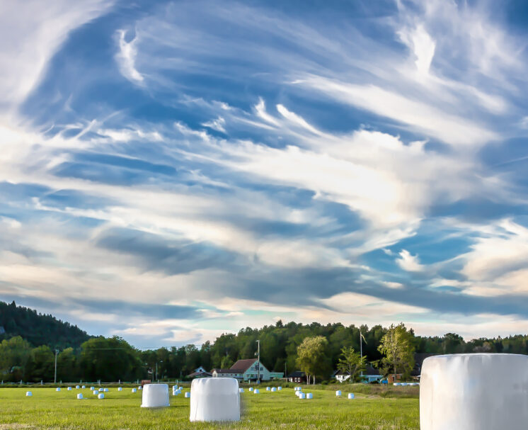 Ensilage balls against vibrant blue sky