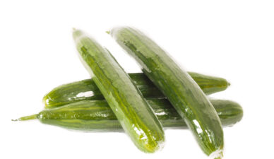 Cucumbers in heat shrink film on white