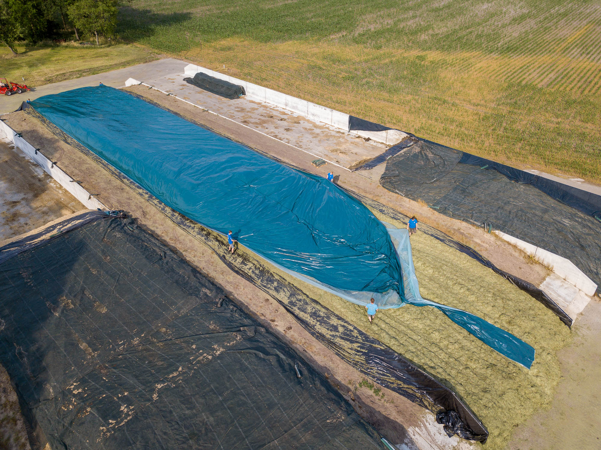 Silage films